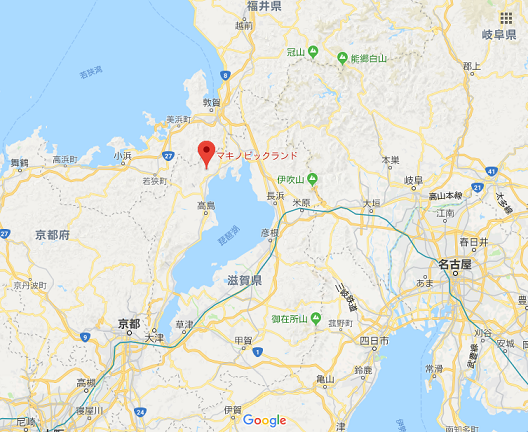 滋賀県マキノ高原のメタセコイア並木道を子どもと散歩 つぶあんのパパよちよち歩き